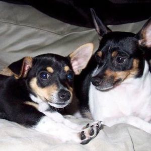 Meet your Posher, Adam